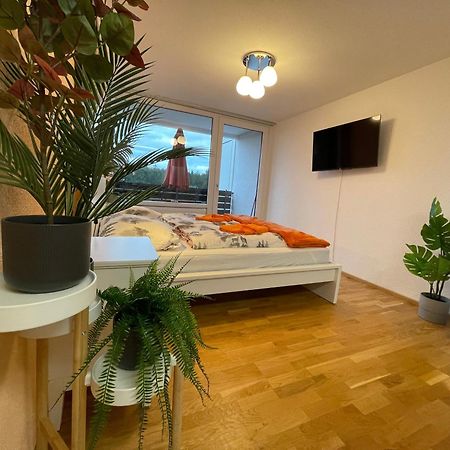 Ferienwohnung In Freudenstadt-Kniebis III エクステリア 写真
