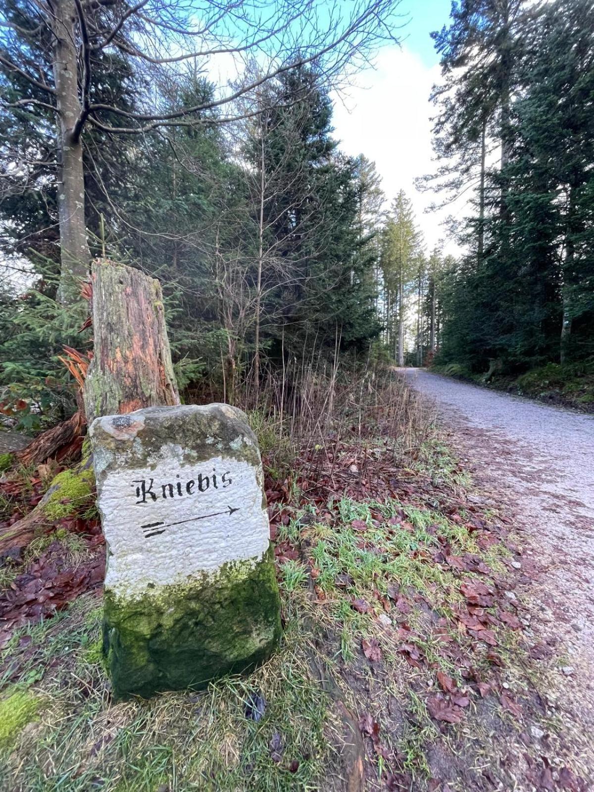 Ferienwohnung In Freudenstadt-Kniebis III エクステリア 写真