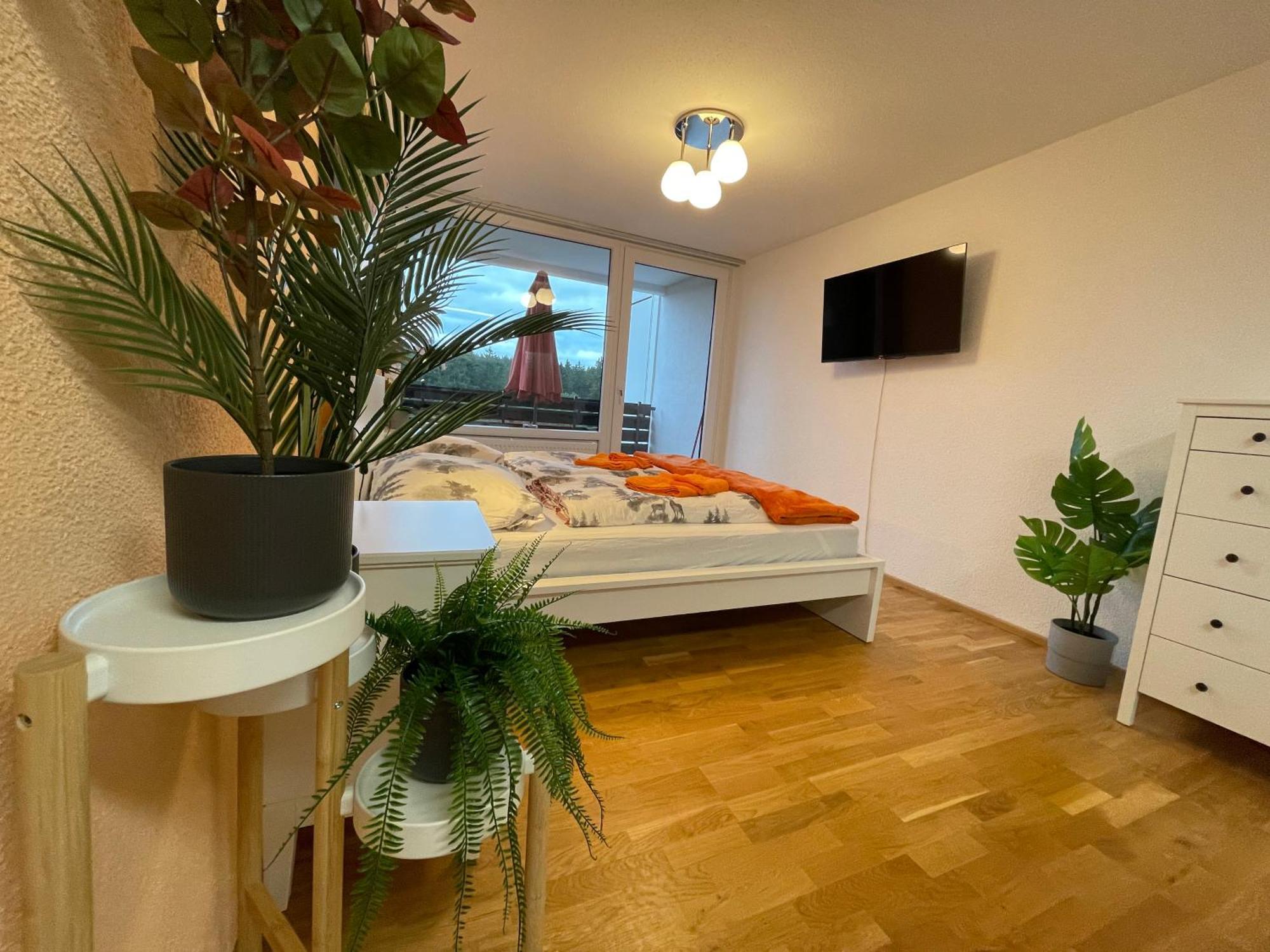 Ferienwohnung In Freudenstadt-Kniebis III エクステリア 写真